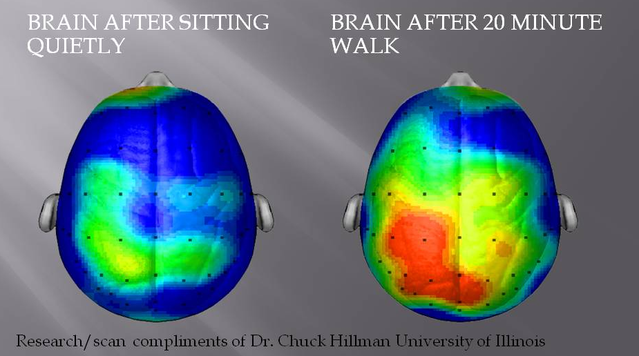 Working From Home Brain Study after walking