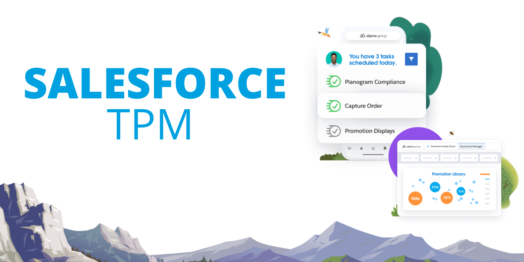 Salesforce TPM Features
